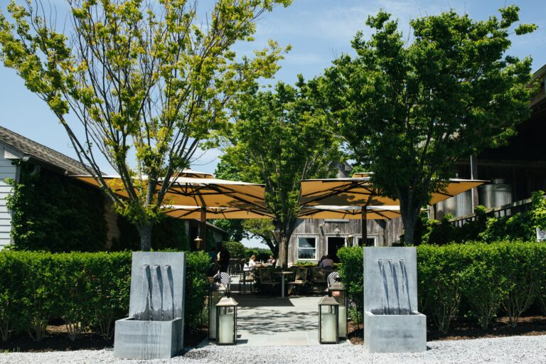 Photo from Rima Brindamour.