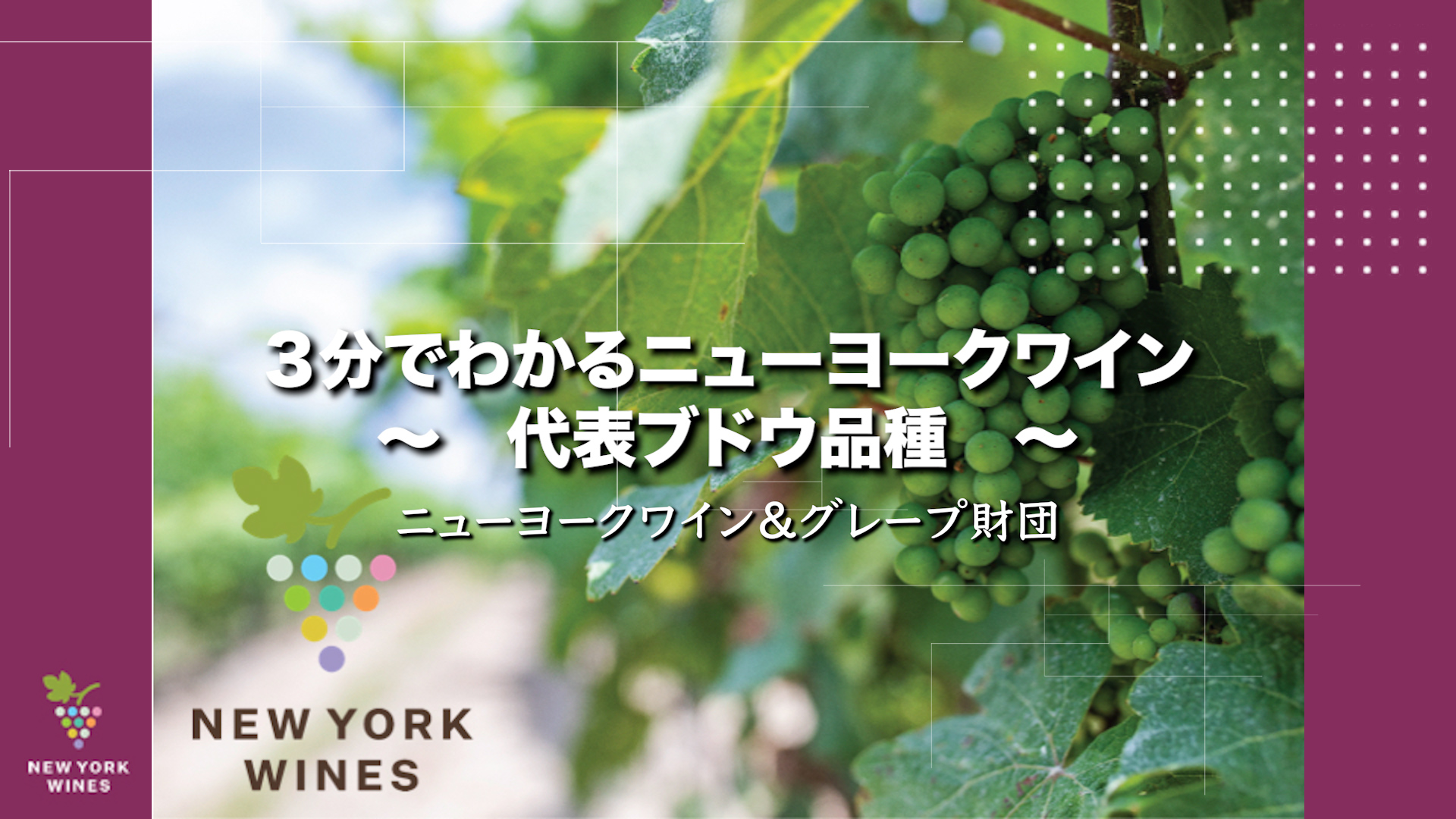 3分でわかるNYワイン～代表ブドウ品種～