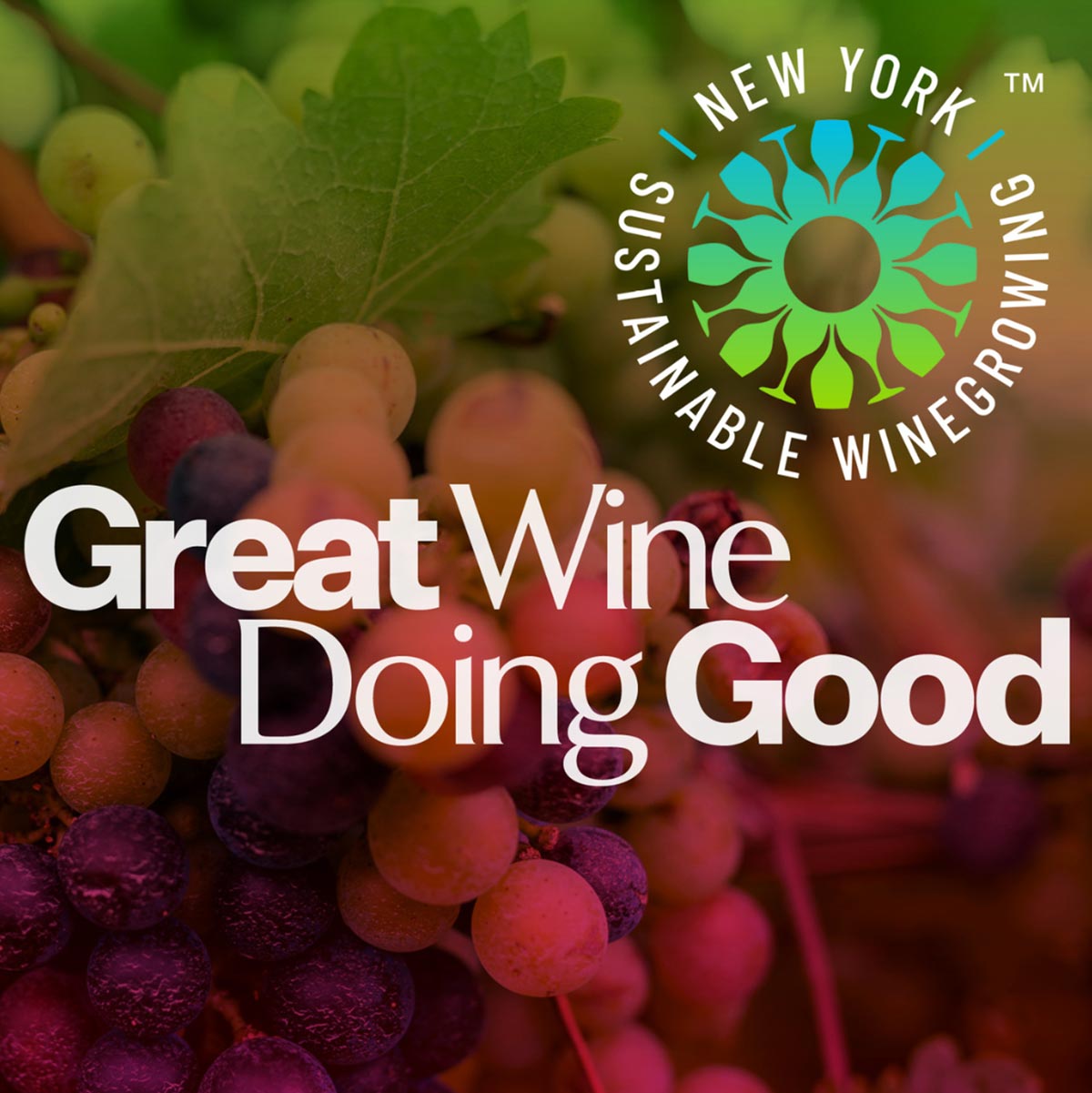 ニューヨーク州 ワイン畑