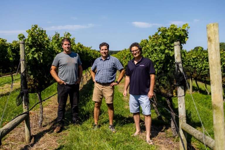 2025年の栽培シーズンが本格スタートする中、ニューヨーク州の2024年シーズンを振り返る