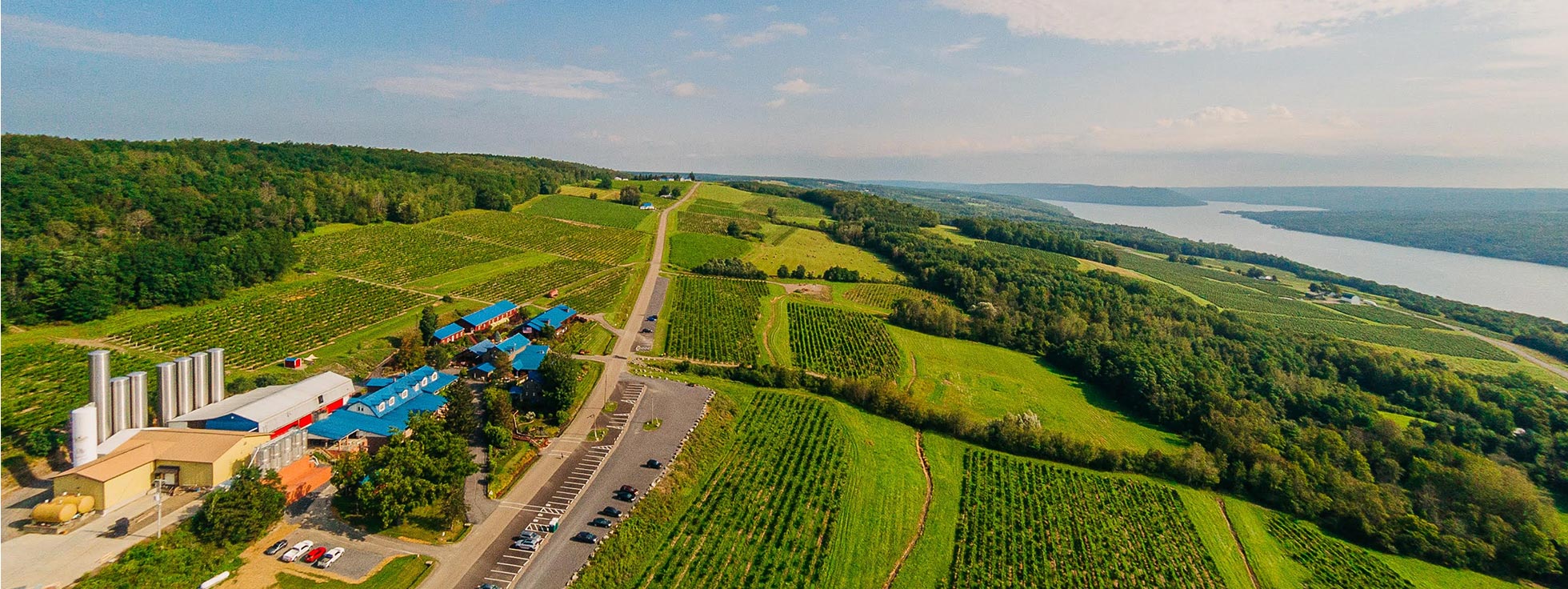 ニューヨークワイン　生産者