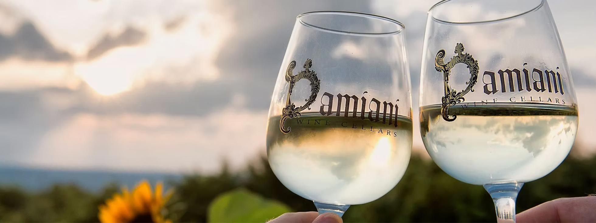 ダミアーニ・ワイン・セラーズ