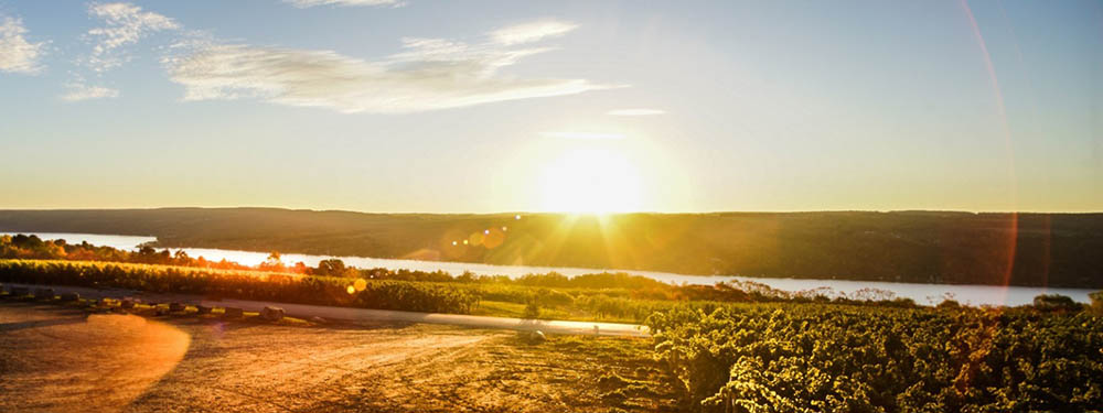 ニューヨークワイン　生産者