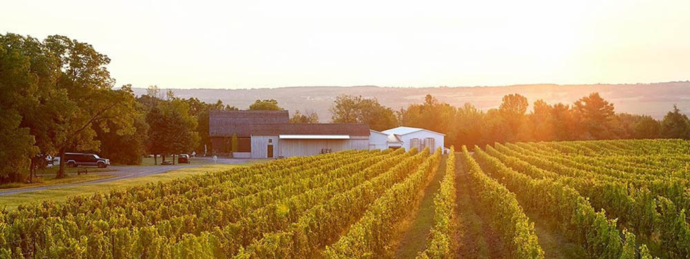 ニューヨークワイン　生産者