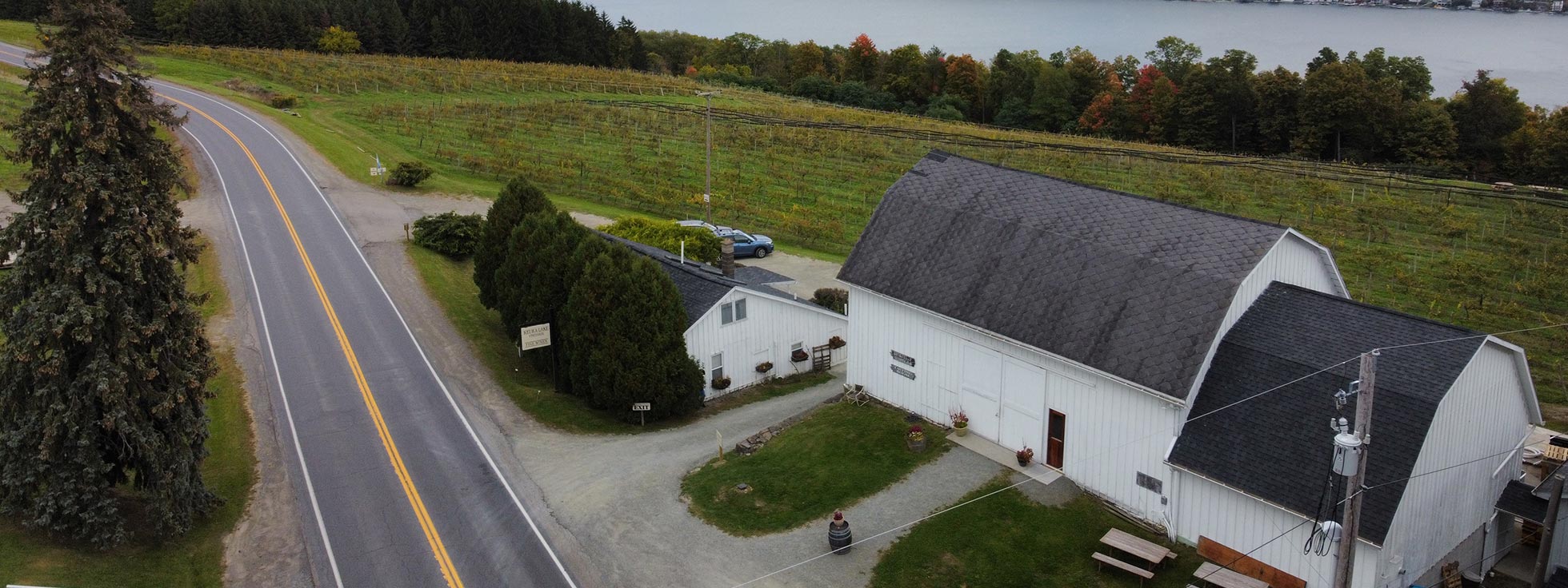 キューカ・レイク・ヴィンヤーズ