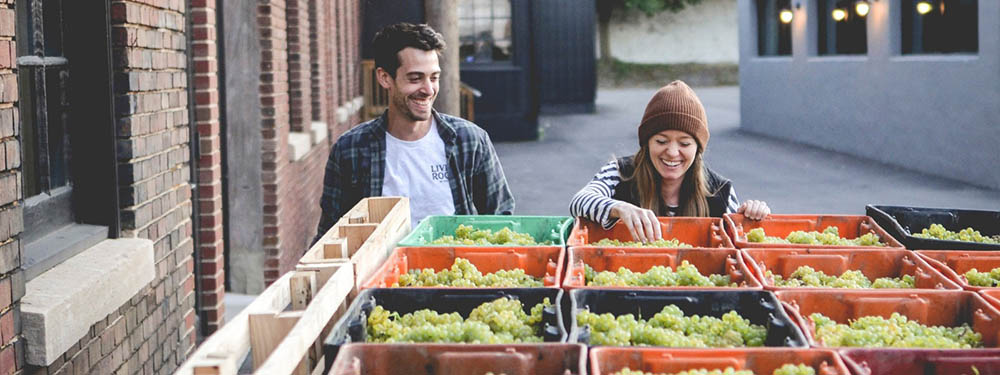 ニューヨークワイン　生産者