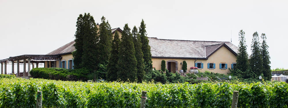 ニューヨークワイン　生産者